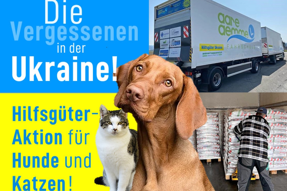 Hilfsgueter Fuer Hunde Katzen Ukraine Fsaa Lorenz Nutzfahrzeuge