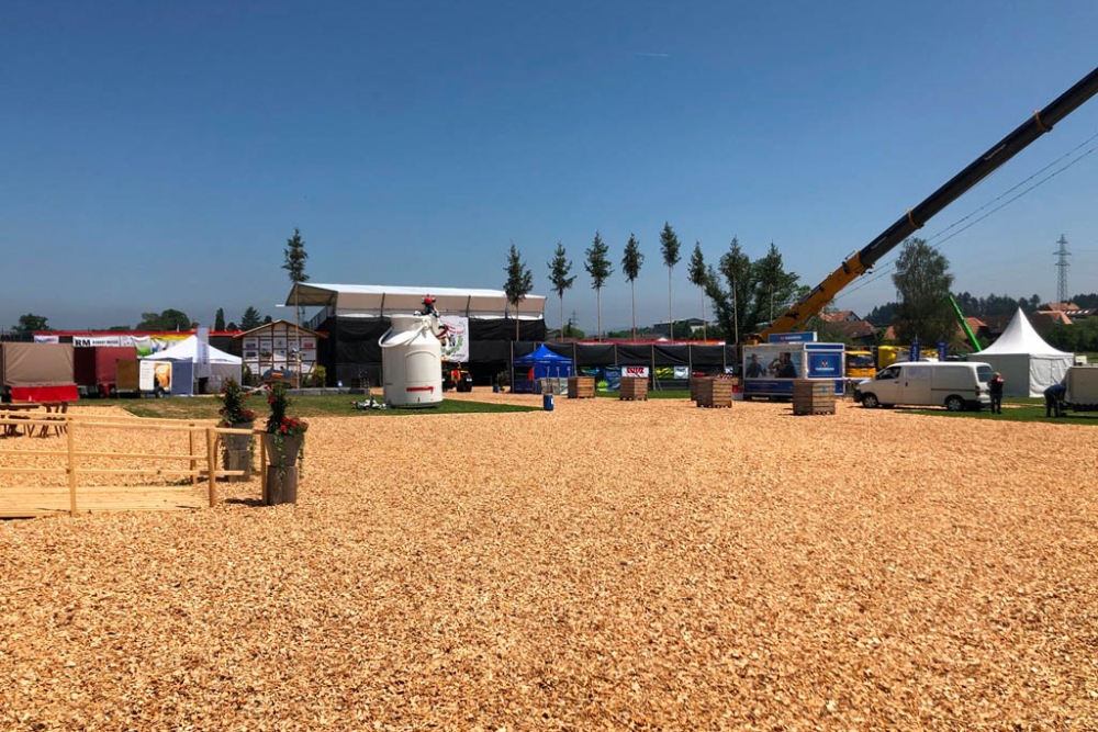 Event Osf2019 Schwingfest Fahrschule Aare Aemme 23